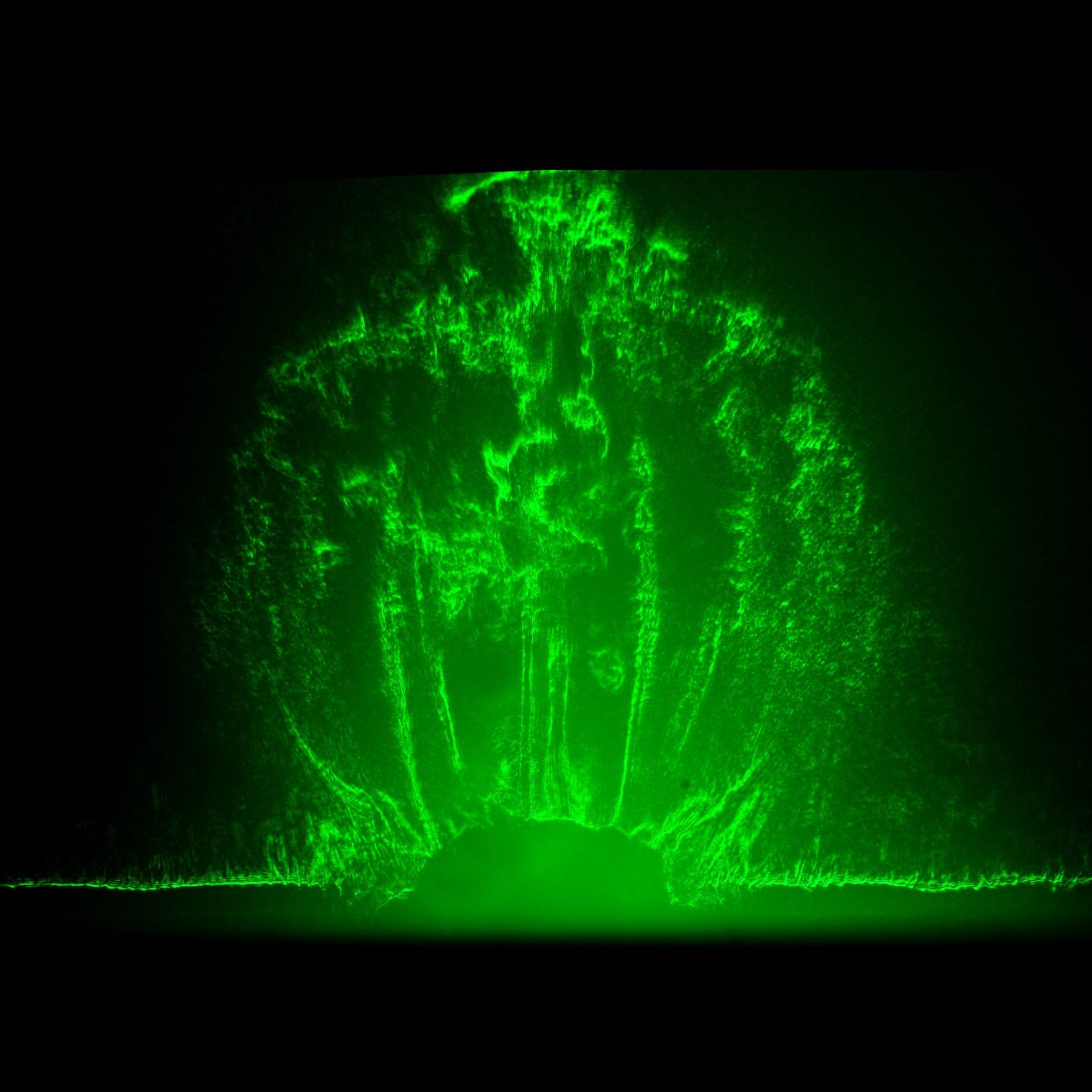 Jet inside a magnetic bubble