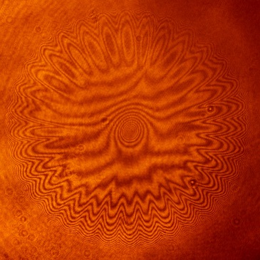 End-On Interferogram of a Wire Array